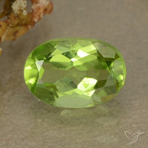 1.20ct 天然 充满活力的绿色 橄榄石, 椭圆形, VS