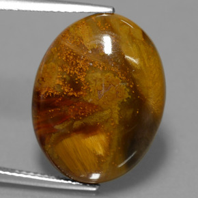 12.64克拉天然多色彼得石，椭圆形切割，19.8×15.1毫米，不透明