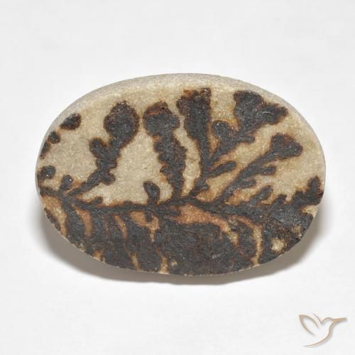 26.52ct 天然 彩色 裸豆素树突, 椭圆形, 不透明