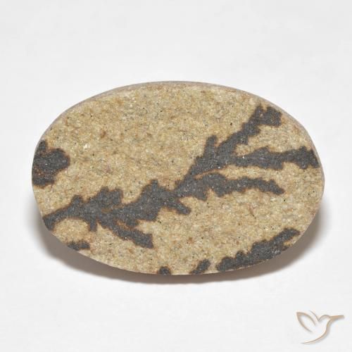 15.04ct 天然 彩色 裸豆素树突, 椭圆形, 不透明