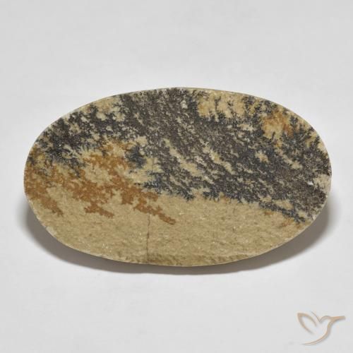 49.70ct 天然 彩色 裸豆素树突, 椭圆形, 不透明