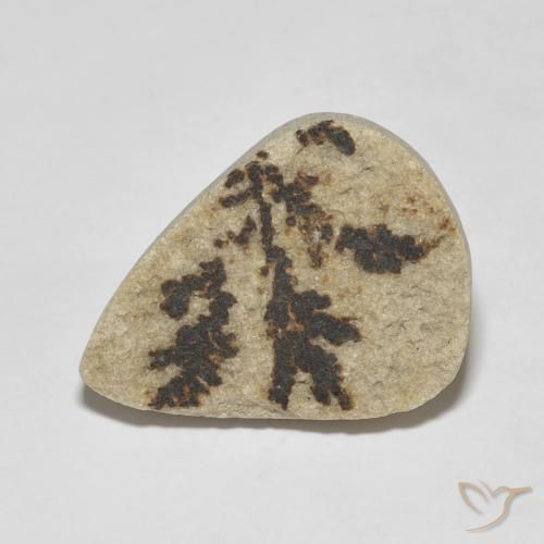 11.56ct 天然 彩色 裸豆素树突, 梨形, 不透明