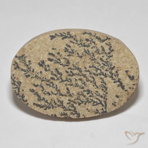 46.04ct 天然 彩色 裸豆素树突, 椭圆形, 不透明