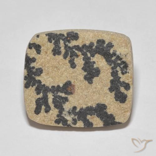 25.75ct 天然 彩色 裸豆素树突, 软垫, 不透明