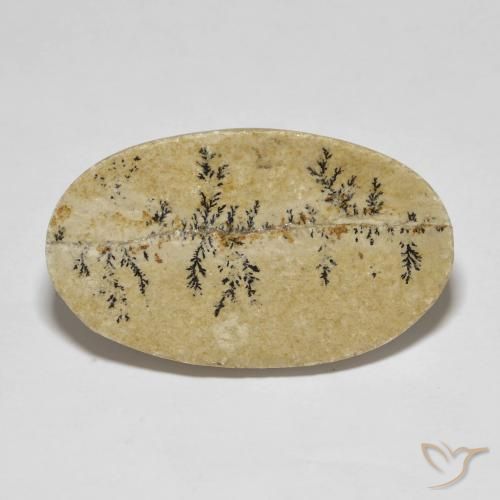 33.47ct 天然 彩色 裸豆素树突, 椭圆形, 不透明