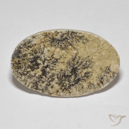 37.32ct 天然 彩色 裸豆素树突, 椭圆形, 不透明
