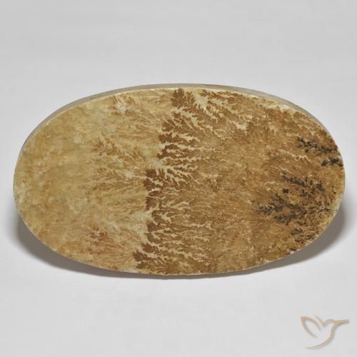 114.72ct 天然 彩色 裸豆素树突, 椭圆形, 不透明
