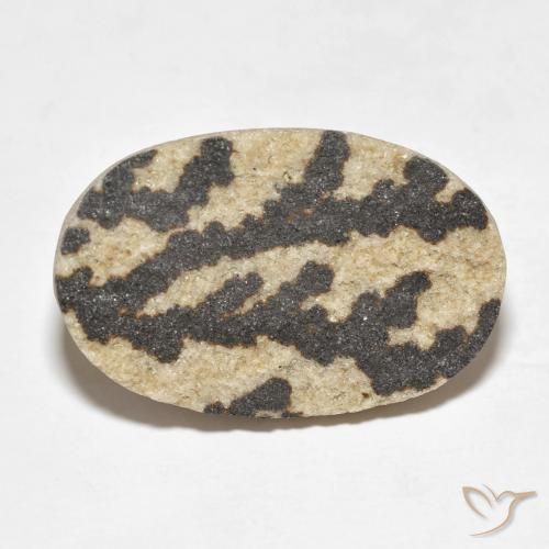 17.99ct 天然 彩色 裸豆素树突, 椭圆形, 不透明