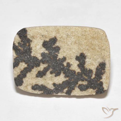 18.24ct 天然 彩色 裸豆素树突, 软垫, 不透明