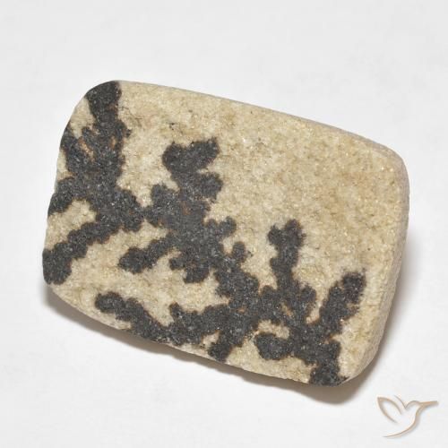 18.24克拉天然裸豆素树突，软垫，不透明