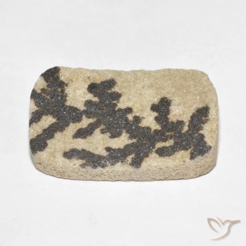 18.24克拉天然裸豆素树突，软垫，不透明