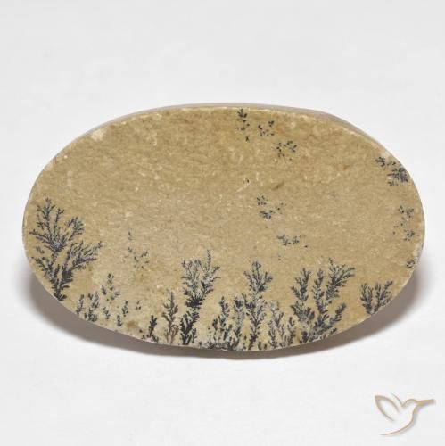 52.94ct 天然 彩色 裸豆素树突, 椭圆形, 不透明