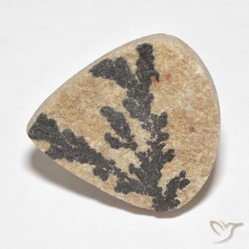 19.59ct 天然 彩色 裸豆素树突, 梨形, 不透明