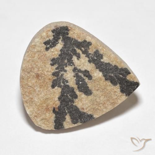 19.59克拉天然裸豆素树突，梨形，不透明
