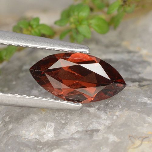 1.21ct 天然 暗红色 镁铝榴石石榴石, 榄尖形, VVS-VS