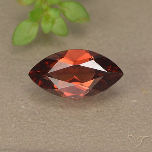 1.31ct 天然 深红色 镁铝榴石石榴石, 榄尖形, VVS-VS