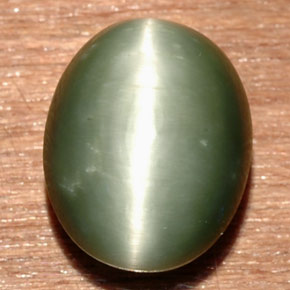 8.58克拉天然绿色Quartz Cat's Eye，椭圆形切割，13.5×10.7毫米，不透明