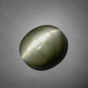 7.45克拉天然绿色Quartz Cat's Eye，椭圆形切割，12.7×10.4毫米，不透明