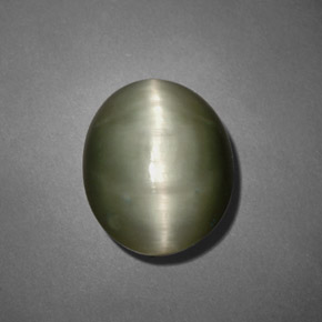 7.45克拉天然绿色Quartz Cat's Eye，椭圆形切割，12.7×10.4毫米，不透明