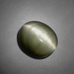 7.45克拉天然绿色Quartz Cat's Eye，椭圆形切割，12.7×10.4毫米，不透明