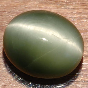 7.32克拉天然绿色Quartz Cat's Eye，椭圆形切割，13×10.9毫米，不透明