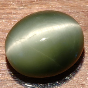 7.32克拉天然绿色Quartz Cat's Eye，椭圆形切割，13×10.9毫米，不透明