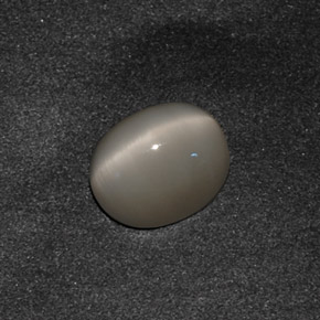 3.42克拉天然灰色Quartz Cat's Eye，椭圆形切割，10.1×8.1毫米，不透明