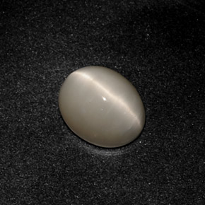 3.19克拉天然灰色Quartz Cat's Eye，椭圆形切割，10×8.1毫米，不透明