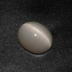 3.07克拉天然灰色Quartz Cat's Eye，椭圆形切割，10×8.2毫米，不透明