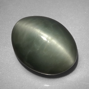 7.74克拉天然绿色Quartz Cat's Eye，椭圆形切割，13×10.2毫米，不透明