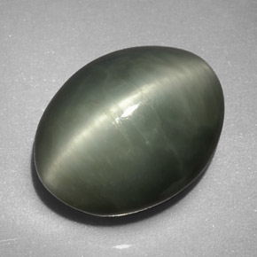 7.74克拉天然绿色Quartz Cat's Eye，椭圆形切割，13×10.2毫米，不透明