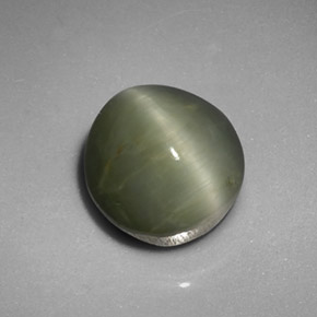 5.45克拉天然绿色Quartz Cat's Eye，椭圆形切割，9.9×9.7毫米，不透明