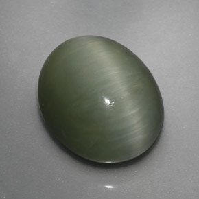 3.64克拉天然绿色Quartz Cat's Eye，椭圆形切割，10.2×8.5毫米，不透明