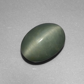 4.48克拉天然绿色Quartz Cat's Eye，椭圆形切割，11.9×8.7毫米，不透明