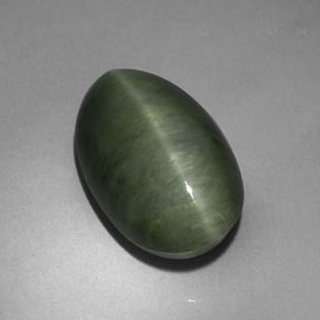 5.75克拉天然绿色Quartz Cat's Eye，椭圆形切割，14.6×9.2毫米，不透明