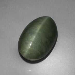 5.75克拉天然绿色Quartz Cat's Eye，椭圆形切割，14.6×9.2毫米，不透明
