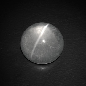 9.02克拉天然白色Quartz Cat's Eye，圆形切割，13.20毫米，透明
