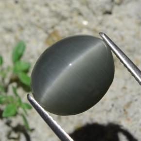 7.96克拉天然灰色Quartz Cat's Eye，椭圆形切割，12.9×10.6毫米，不透明