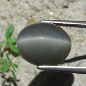 7.96克拉天然灰色Quartz Cat's Eye，椭圆形切割，12.9×10.6毫米，不透明