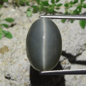 9.07克拉天然石英猫眼，椭圆形切割，不透明