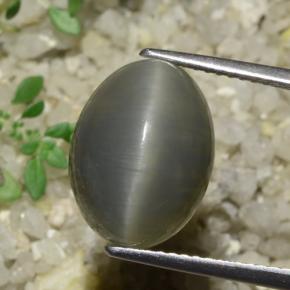 8.08克拉天然石英猫眼，椭圆形切割，半透明