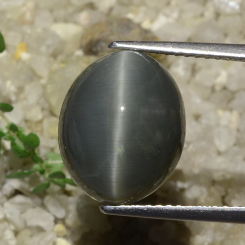 7.89克拉天然石英猫眼，椭圆形切割，不透明