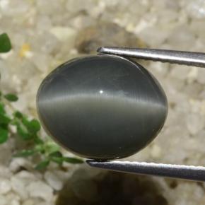 7.89克拉天然石英猫眼，椭圆形切割，不透明