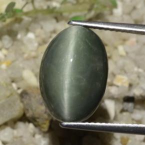 8.78克拉天然石英猫眼，椭圆形切割，不透明