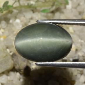 8.78克拉天然石英猫眼，椭圆形切割，不透明