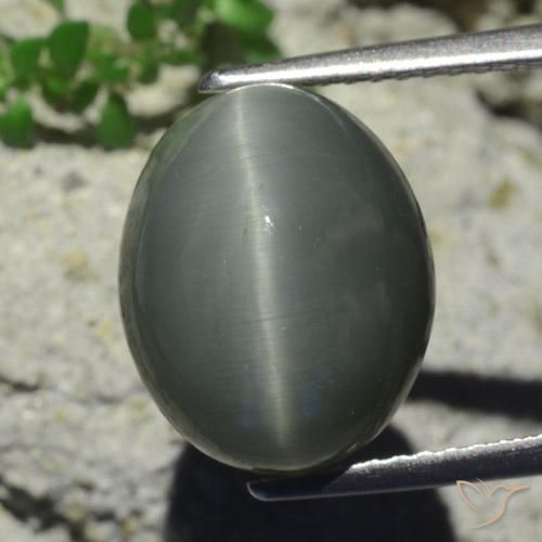 7.28ct 天然 淡绿灰色 石英猫眼, 椭圆形, 不透明