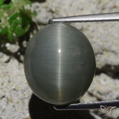 8.02ct 天然 淡绿灰色 石英猫眼, 椭圆形, 不透明