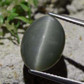 6.12克拉天然石英猫眼，椭圆形切割，不透明