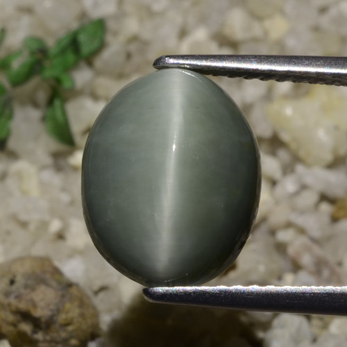 5.82克拉天然石英猫眼，椭圆形切割，半透明