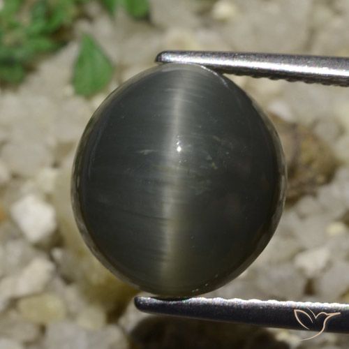 6.05ct 天然 钢灰色 石英猫眼, 椭圆形, 不透明